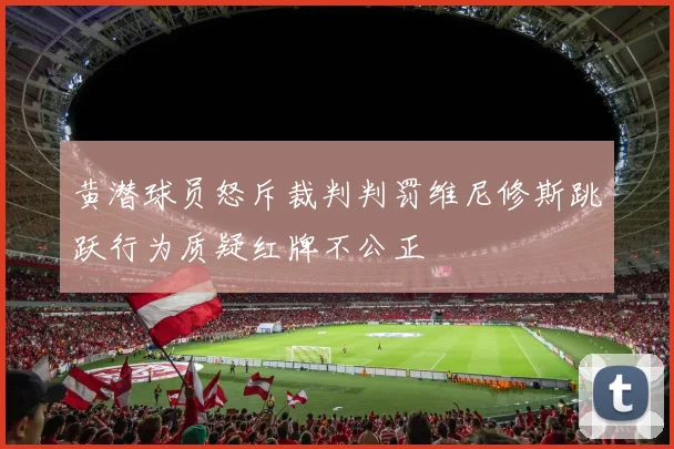 黄潜球员怒斥裁判判罚维尼修斯跳跃行为质疑红牌不公正