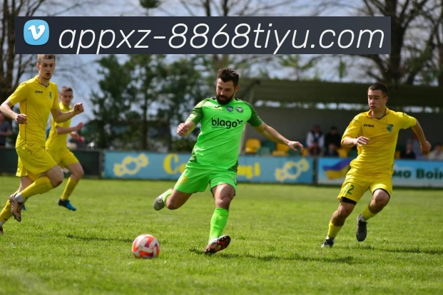 App Interface Preview