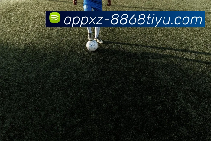 8868体育APP 封面图